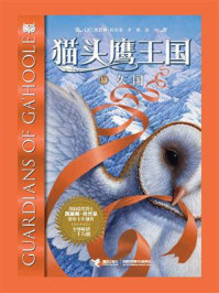《猫头鹰王国13:久国》-凯瑟琳·拉丝基
