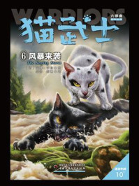 《猫武士六部曲暗影幻象:6风暴来袭》-艾琳·亨特