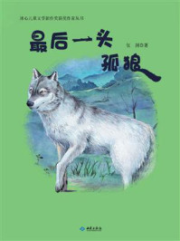 《最后一头孤狼》-伍剑