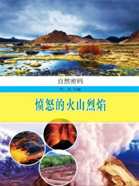 《愤怒的火山烈焰》-代兵