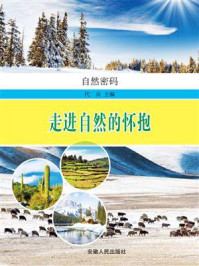 《走进自然的怀抱》-代兵