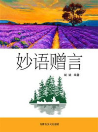 《妙语赠言》-斌斌