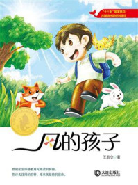 《大白鲸原创幻想儿童文学优秀作品·风的孩子》-王君心