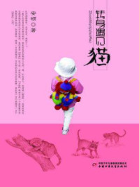 《转身遇见猫》-安顿