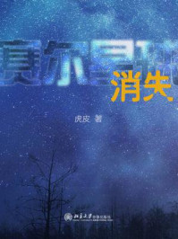 《赛尔星球10:消失》-虎皮