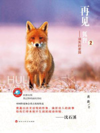 《再见,狐狸—消失的家园》-黄鑫
