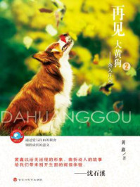 《再见,大黄狗—落入凡间》-黄鑫