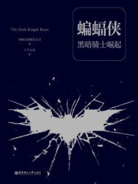 《蝙蝠侠:黑暗骑士崛起(经典中文版)》-华纳兄弟娱乐公司