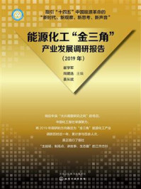 《能源化工“金三角”产业发展调研报告(2019年)》-崔学军-mobi、epub、azw3、pdf电子书免费下载/宝阳读书小站