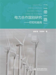 《“一带一路”电力合作国别研究:印尼和越南》-袁家海