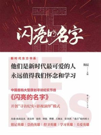 《闪亮的名字》-陈辰-mobi、epub、azw3、pdf电子书免费下载/宝阳读书小站