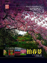 《红杏枝头春意闹:拍春景》-程墨