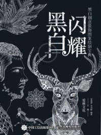 《黑白闪耀:黑白创意装饰图案绘制宝典》-爱林文化