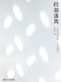 《跨越藩篱:光影世界中的“诗意情境”》-李文宁