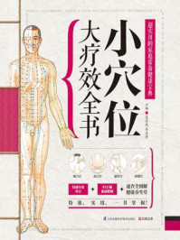 《小穴位大疗效全书》-高海波