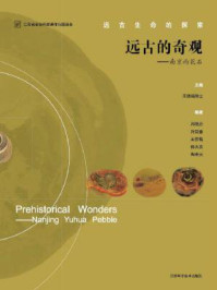 《远古的奇观:南京雨花石》-王德滋