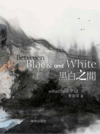 《黑白之间:李剑平水墨陶瓷作品集》-李剑平