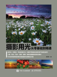 《摄影用光从零基础到精通》-陈丹丹-mobi、epub、azw3、pdf电子书免费下载/宝阳读书小站
