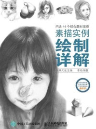 《素描实例绘制详解》-爱林文化