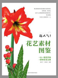 《超人气!花艺素材图鉴》-唐秋子