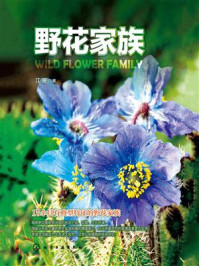 《野花家族》-江珊-mobi、epub、azw3、pdf电子书免费下载/宝阳读书小站