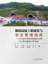 《隧道品质工程质量与安全管理指南:以云南玉溪至楚雄高速公路齐云特长隧道工程为例》-陈柱