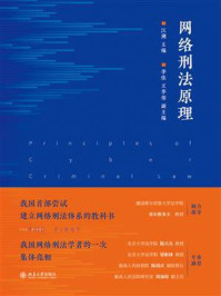 《网络刑法原理》-江溯
