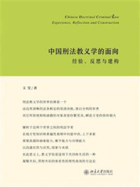《中国刑法教义学的面向:经验、反思与建构》-王莹