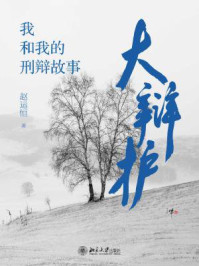 《大辩护:我和我的刑辩故事》-赵运恒