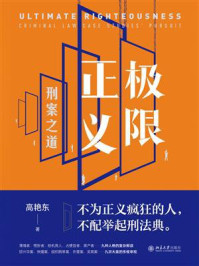 《极限正义:刑案之道》-高艳东