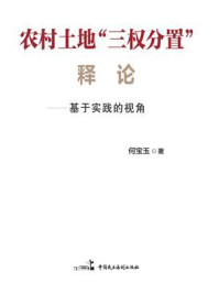 《农村土地“三权分置”释论:基于实践的视角》-何宝玉