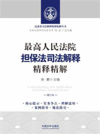 《最高人民法院担保法司法解释精释精解(增订本)》-孙鹏