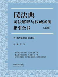 《民法典司法解释与权威案例指引全书:含司法解释新旧对照(上卷)》-王竹