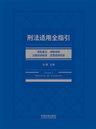 《刑法适用全指引:罪名要义、关联法规、立案追诉标准、定罪量刑标准》-孙强