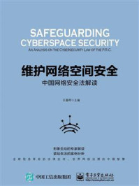 《维护网络空间安全:中国网络安全法解读》-王春晖