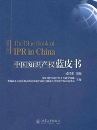 《中国知识产权蓝皮书(2009-2010)》-吴汉东