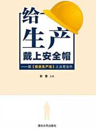 《给生产戴上安全帽 :新安全生产法之法里法外》-彭慧