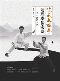 《陈式太极拳劲理拳法实鉴:老一路功夫架》-陈恩