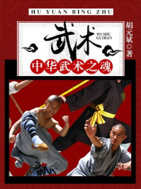 《武术:中华武术之魂》-胡元斌