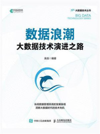 《数据浪潮:大数据技术演进之路》-吴垚