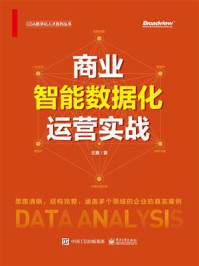 《商业智能数据化运营实战》-王鑫