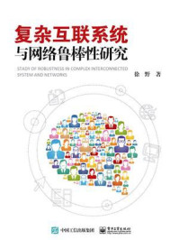 《复杂互联系统与网络鲁棒性研究》-徐野