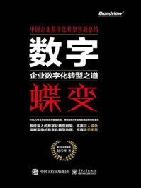 《数字蝶变:企业数字化转型之道》-赵兴峰
