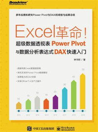 《Excel革命!超级数据透视表Power Pivot与数据分析表达式DAX快速入门》-林书明