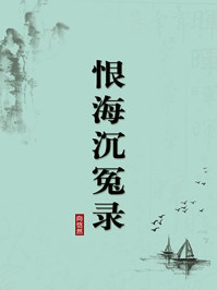 《恨海沉冤录(无注释版)》-向恺然
