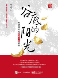 《谷底的阳光:互联网时代顾客体验场景》-瑞卡城