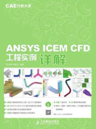 《CAE分析大系:ANSYS ICEM CFD工程实例详解》-李振北