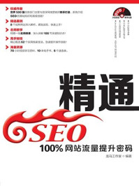 《精通SEO:100%网站流量提升密码》-龙马工作室