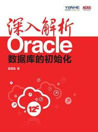 《深入解析Oracle:数据库的初始化(重点大学计算机专业系列教材)》-盖国强