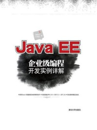 《Java EE企业级编程开发实例详解》-袁梅宇-mobi、epub、azw3、pdf电子书免费下载/宝阳读书小站
